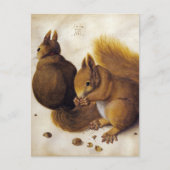 Albrecht Dürer, zwei Eichhörnchen _ Kunst Herbst Postkarte (Vorderseite)