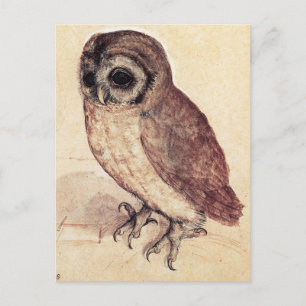 Albrecht Lange The Little Owl Postcard Postkarte