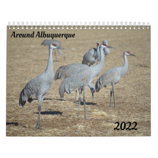Albuquerque-Kalender Kalender (Titelbild)