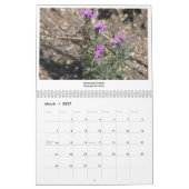 Albuquerque-Kalender Kalender (Mär 2027)