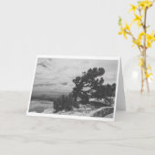 "ALBUQUERQUE LOOKOUT" KARTE (Gelbe Blume)