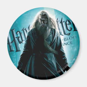 Albus Dumbledore HPE6 1 Magnet