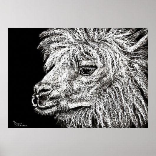 alcapa poster (Vorne)