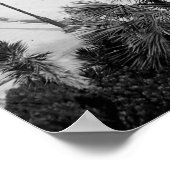 Alcazar Hotel, St Augustine, Florida, 1903 Poster (Ecke)