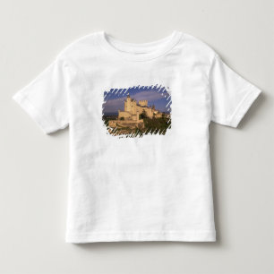 Alcazar und Kathedrale, Segovia, Kastilien und Leó Kleinkind T-shirt