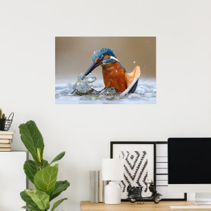 Alcedo Atthis Eisvogel jagt Wasser Luca Casale Poster
