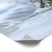 Alcedo Atthis Kingfisher Jagd Wasser Luca Casale Poster (Ecke)