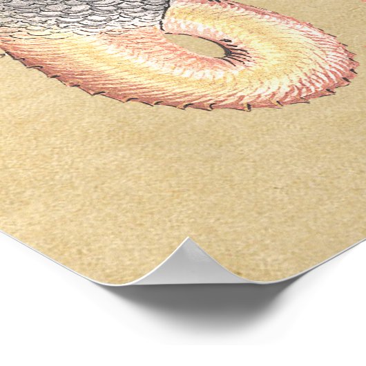 Alchemy Dragon Magical Symbol Poster (Ecke)