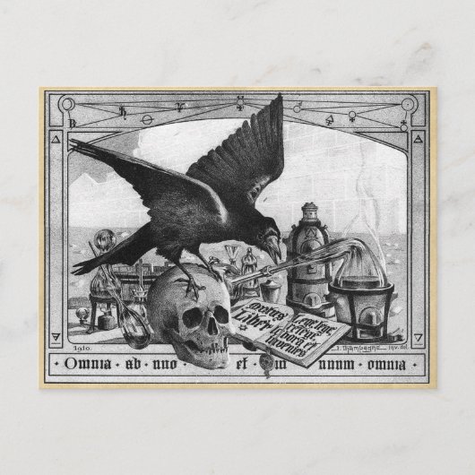 Alchemy Laboratory Raven and Human Skull Postkarte (Vorderseite)