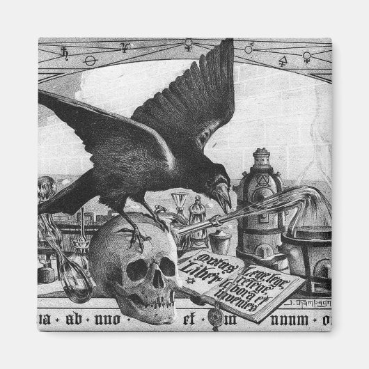 Alchemy Labrador Crow and Skull Magnete Magnet (Vorne)
