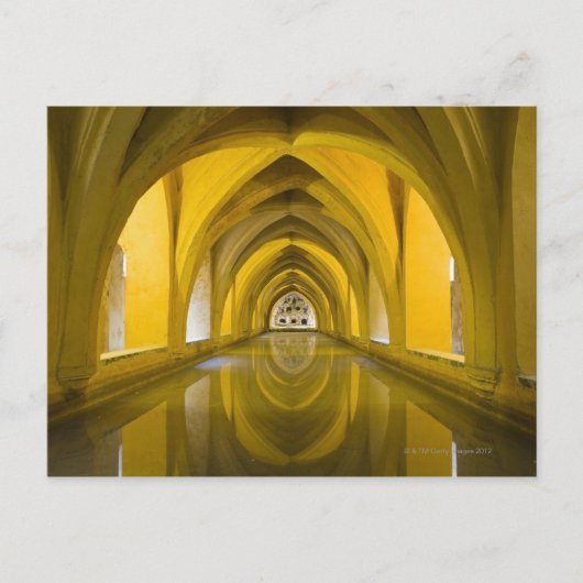 AlcÌÁzar von Sevilla, Sevilla Provinz, Spanien Postkarte (Vorderseite)