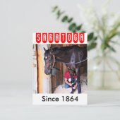 Alcolite-Pferde-Haven-Barns in Saratoga Postkarte (Stehend Vorderseite)