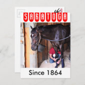 Alcolite-Pferde-Haven-Barns in Saratoga Postkarte (Vorne/Hinten)