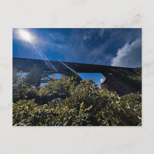 Alcovy Trestle Postkarte (Vorderseite)