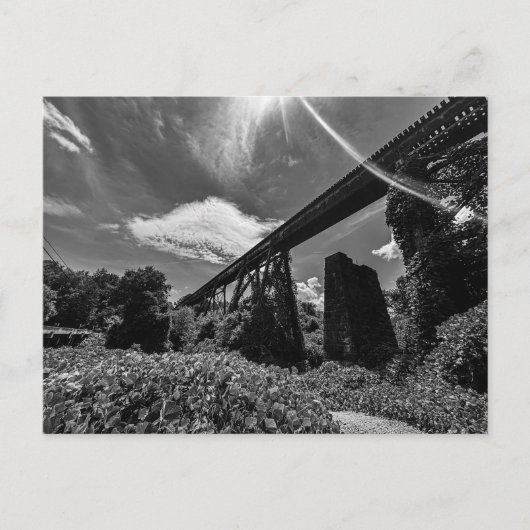 Alcovy Trestle Postkarte (Vorderseite)