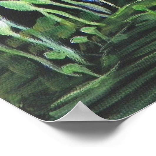 ALD FLORIDA WADING BIRD Poster (Ecke)