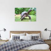 Aldabra Riesenschildkröte Leinwanddruck (Insitu (Schlafzimmer))