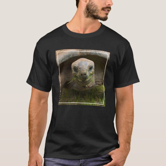 Aldabra Schildkröten-Füttern T-Shirt (Vorderseite)