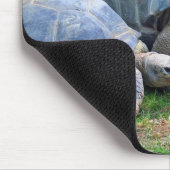 Aldabra Schildkröten Mousepad (Ecke)
