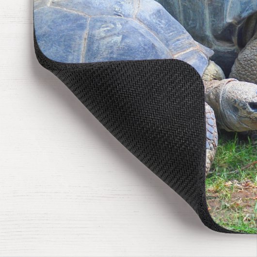 Aldabra Schildkröten Mousepad (Ecke)
