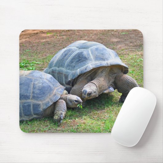 Aldabra Schildkröten Mousepad (Mit Mouse)