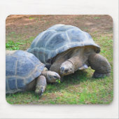 Aldabra Schildkröten Mousepad (Vorne)