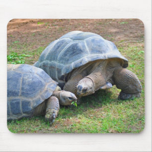 Aldabra Schildkröten Mousepad
