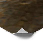 Aldabra Tortoise Fütternd Poster (Ecke)