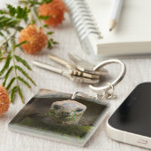 Aldabra Tortoise Fütternd Schlüsselanhänger (Vorderseite rechts)