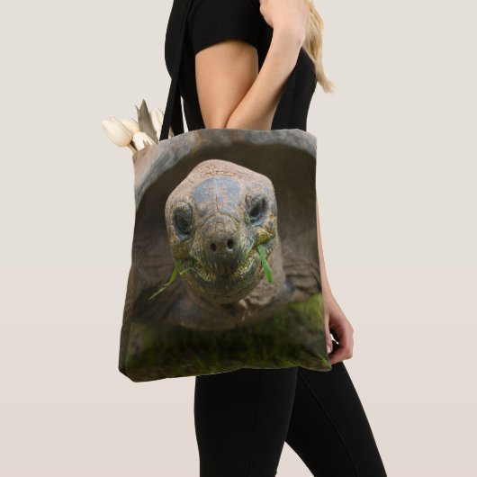Aldabra Tortoise Fütternd Tasche (Von Nahem)
