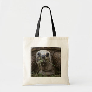 Aldabra Tortoise Grazing Tragetasche