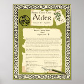 ALDER CELTIC SACRED TREM POSTER (Vorne)