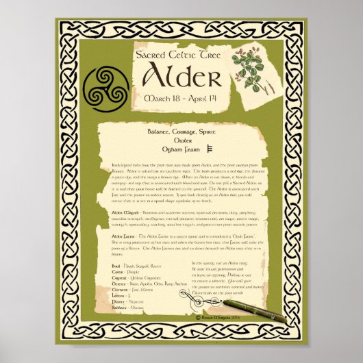 ALDER CELTIC SACRED TREM POSTER (Vorne)