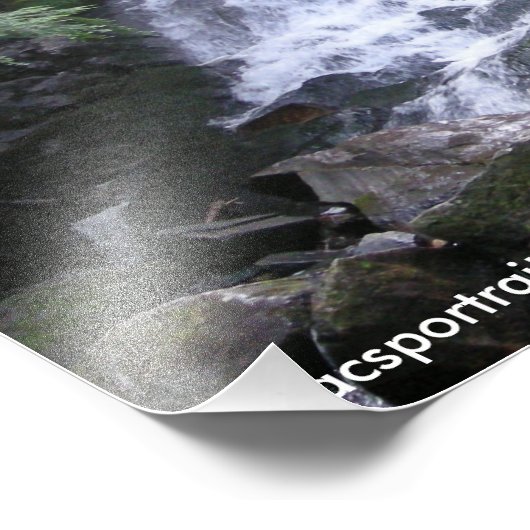 Alder Falls Fotodruck (Ecke)