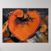 Alder Heart - Poster (Vorne)