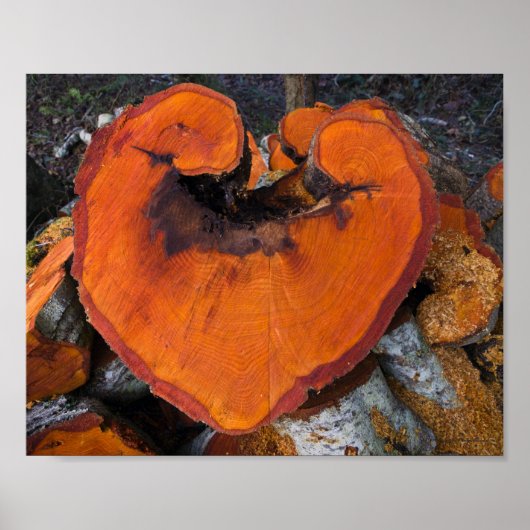 Alder Heart - Poster (Vorne)