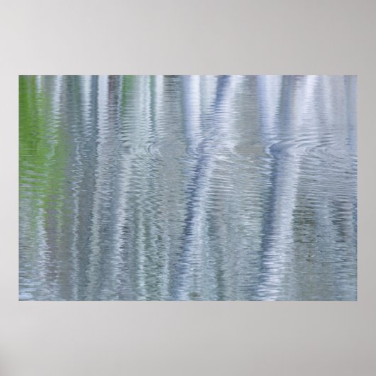 Alder Trees | Insel Bainbridge, WA Poster (Vorne)