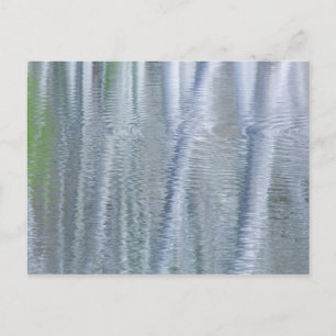 Alder Trees   Insel Bainbridge, WA Postkarte