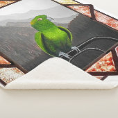 Aldo mein Amazonaspapagei Sherpadecke (3/4)