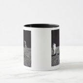 Aldrin blickt zurück auf die Basis der Ruhe Tasse (Zentrum)