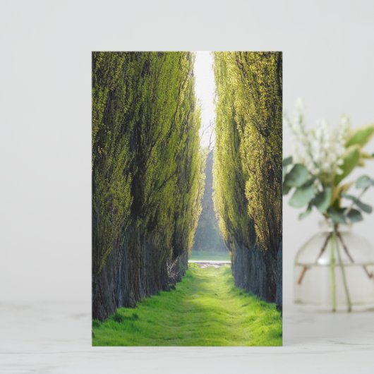 ALEJAWroclaw Polen Briefpapier (Stehend Vorderseite)