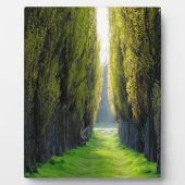 ALEJAWroclaw Polen Fotoplatte (Vorderseite)