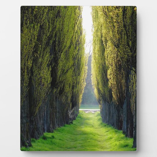 ALEJAWroclaw Polen Fotoplatte (Vorderseite)