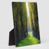 ALEJAWroclaw Polen Fotoplatte (Seite)