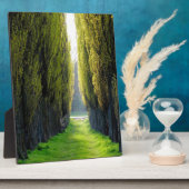 ALEJAWroclaw Polen Fotoplatte (Seite)