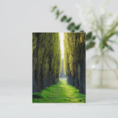 ALEJAWroclaw Polen Postkarte (Stehend Vorderseite)