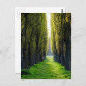 ALEJAWroclaw Polen Postkarte (Vorne/Hinten)