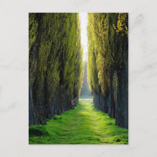 ALEJAWroclaw Polen Postkarte