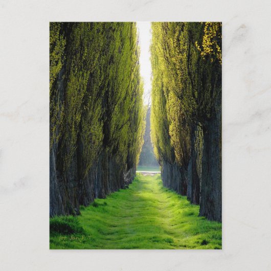 ALEJAWroclaw Polen Postkarte (Vorderseite)