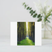 ALEJAWroclaw Polen Postkarte (Stehend Vorderseite)